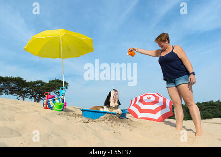 Lustiger Hund ist eine Kühlung unten mit Wasser und Sonnenschirm am Strand im Sommer Stockfoto