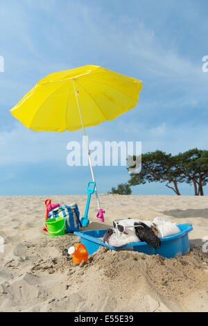 Lustiger Hund ist eine Kühlung unten mit Wasser und Sonnenschirm am Strand im Sommer Stockfoto