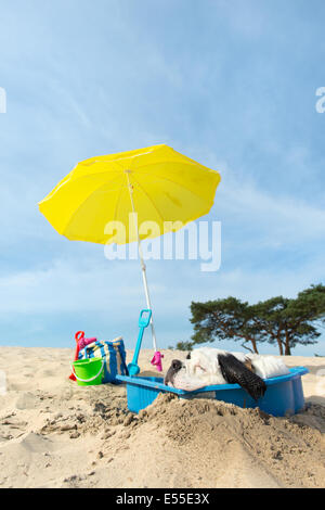 Lustiger Hund ist eine Kühlung unten mit Wasser und Sonnenschirm am Strand im Sommer Stockfoto