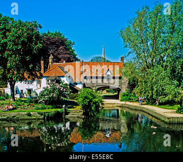 Blick auf zieht Ferry befindet sich auf dem Fluss Wensum, Norwich, Norfolk, England, Vereinigtes Königreich Stockfoto