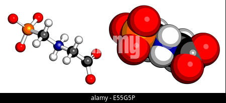 Glyphosphat Herbizid Molekül. Pflanzen, die resistent gegen Glyphosphat (gentechnisch veränderte Organismen, GVO) wurden produziert. Stockfoto