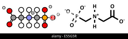 Glyphosphat Herbizid Molekül. Pflanzen, die resistent gegen Glyphosphat (gentechnisch veränderte Organismen, GVO) wurden produziert. Stockfoto