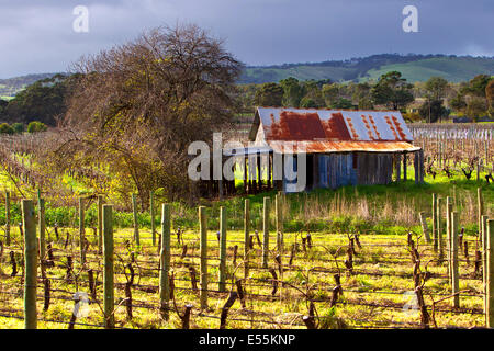 Weingut alte rostige Zinn vergossen Wolken Reben McLaren Wohnung Süd Australien Fleurieu Peninsula Sonnentag Wellblech Stockfoto