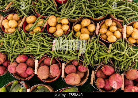 Frischen Bio-Produkten zum Verkauf auf dem örtlichen Bauernmarkt. Stockfoto