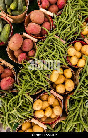 Frischen Bio-Produkten zum Verkauf auf dem örtlichen Bauernmarkt. Stockfoto