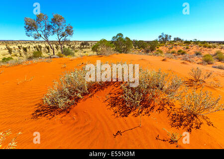 Zentralaustralien Northern Territory Australien Australien Stockfoto