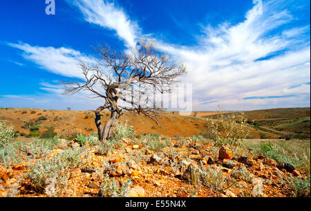 Barrier Ranges Broken Hill Silverton Stockfoto