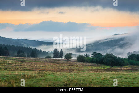 Neustadt am Rennsteig, Thüringer Wald, Deutschland Stockfoto