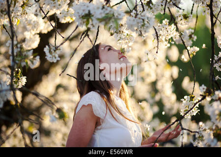 Porträt einer jungen Frau mit Kirschblüten Stockfoto