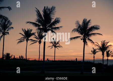 Palmen und menschliche Silhouetten auf einen Strandspaziergang bei Sonnenuntergang Stockfoto