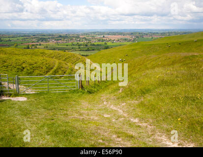 Kreide Böschung Hang mit trockenen Tälern Roundway Hill, ein besonderer Ort für die Tierwelt, in der Nähe von Devizes, Wiltshire, England Stockfoto