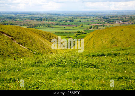 Kreide Böschung Hang mit trockenen Tälern Roundway Hill, ein besonderer Ort für die Tierwelt, in der Nähe von Devizes, Wiltshire, England Stockfoto