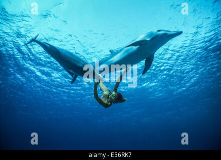 Delfin-Trainer interagiert mit Jugendlichen große Tümmler (Tursiops Truncatus). Dolphin Reef Eilat, Israel, Rotes Meer Stockfoto