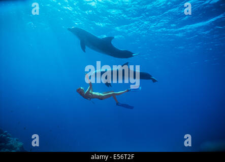 Delfin-Trainer interagiert mit Jugendlichen große Tümmler (Tursiops Truncatus). Dolphin Reef Eilat, Israel, Rotes Meer Stockfoto