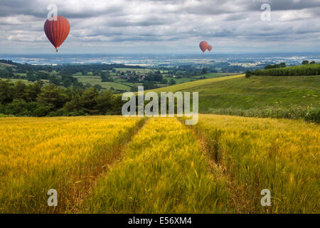Heißluftballons über Felder und Wiesen des East Yorkshire Wolds im Vereinigten Königreich Stockfoto