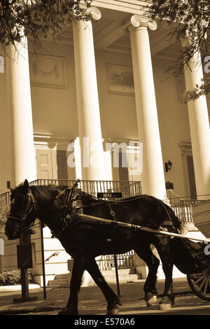 Pferd zeichnen eine Kutsche vor dem historischen, Christus, bischöfliche Kirche, gegründet im Jahr 1773 in Savannah, GA, USA Stockfoto