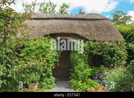 Einen traditionellen englischen Cottage-Garten am Rosemoor, in der Nähe von Torrington, Devon, Südwestengland, UK, Photraphed im Sommer. Stockfoto