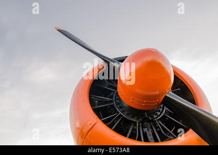 Abenteuer in den Himmel, altes Flugzeug, Orange, North American T - 6G Texan Stockfoto