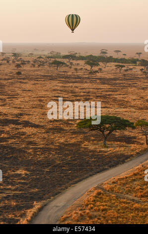 Heißluftballon fliegen über die Serengeti National Park Stockfoto