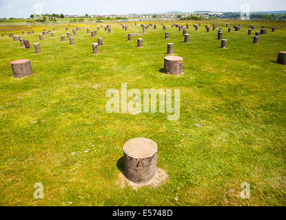 Beton-Marker identifizieren Positionen der ursprünglichen Holzpfosten am neolithischen Woodhenge Standort Amesbury, Wiltshire, England Stockfoto