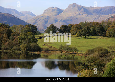 Loughrigg Tarn und die Langdale Pikes im Herbst im englischen Lake District Stockfoto