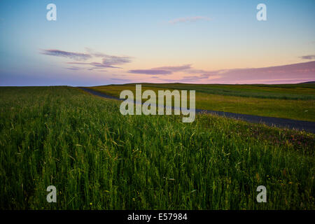 Sonnenuntergang auf weizenfeld auf Berneray Stockfoto