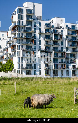 Stævnen, modernes Apartmenthaus, Amager, Kopenhagen, Dänemark Stockfoto