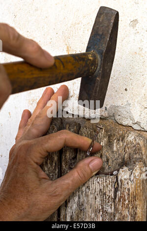 Hand hält beim schlagen mit einem Hammer einen Nagel Stockfoto