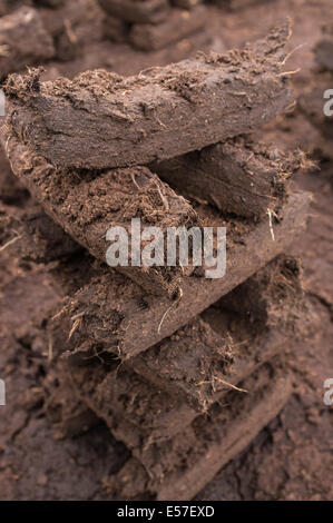 Rasen-Stacks footed zum Trocknen als Brennstoff zu Häusern, die in den Wintermonaten beheizt verbrannt werden. Moor von Allen, Kildare, Irland. Stockfoto