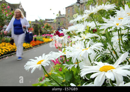 Grenzen der Sommer in voller Blüte im Bad Gardens in Bakewell, eine hübsche Marktstadt im Peak District National Park, Derbyshire UK Stockfoto