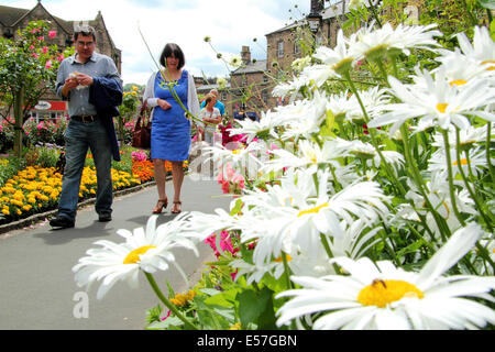 Grenzen der Sommer in voller Blüte im Bad Gardens in Bakewell, eine hübsche Marktstadt im Peak District National Park, Derbyshire UK Stockfoto