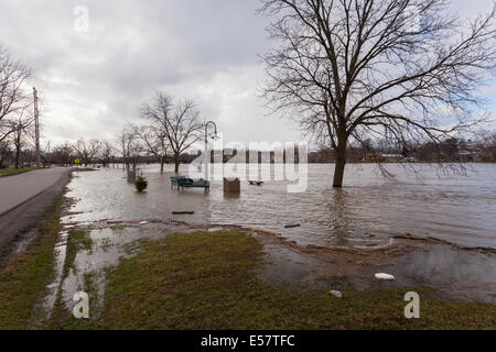 Den Ufern des Grand River als die Wasser Fluten einen Park in Caledonia, Ontario, Kanada. Stockfoto