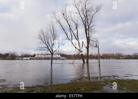 Die Ufer des Flusses Grand als Wasser überflutet ein Park und Trail in Caledonia, Ontario, Kanada. Stockfoto