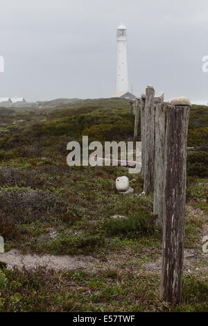 Slangkop Leuchtturm in Kommetjie, Südafrika, an einem kalten winterlichen Tag Stockfoto