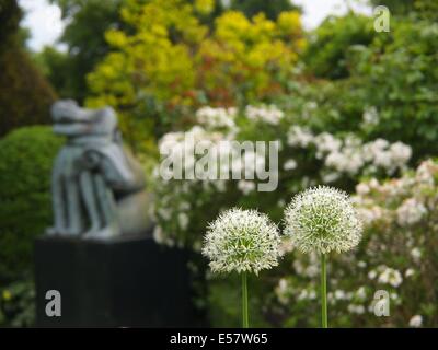 Chenies Manor Garten Statue einer schlafenden Person mit Ram mit weißen Alliums im Vordergrund. Dies wurde im Mai genommen. Stockfoto
