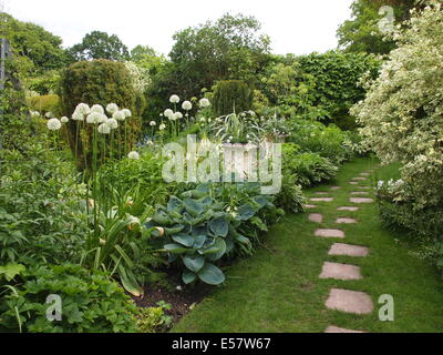 Grün-weiße Gartenfarbtöne, Chenies Manor im Mai, die Wege aus Trittsteinen durch Hosta und weiße Allium zeigen; ein Ort des Wohlbefindens. Stockfoto