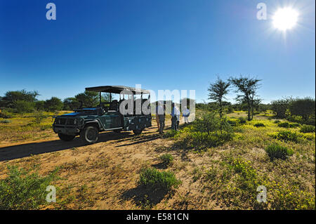 Safari-Wagen mit Touristen in blühenden Savanne, Erindi Game Reserve, Namibia Stockfoto