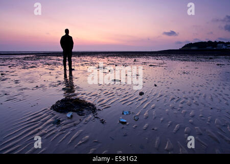 Whitstable, Kent, UK 23. Juli 2014. Vor Sonnenaufgang Sonnenaufgang in Whitstable wie der Himmel leuchtet ein Walker, Wellen im Sand und einige ausrangierte Austernschalen. Das Wetter wird sich voraussichtlich für die nächsten paar Tage warm und sonnig sein, aber mit möglichen Duschen für das Wochenende. Stockfoto