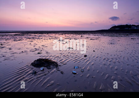 Whitstable, Kent, UK 23. Juli 2014. Vor Sonnenaufgang Sonnenaufgang in Whitstable wie der Himmel leuchtet Wellen im Sand und einige ausrangierte Austernschalen. Das Wetter wird sich voraussichtlich für die nächsten paar Tage warm und sonnig sein, aber mit möglichen Duschen für das Wochenende. Stockfoto