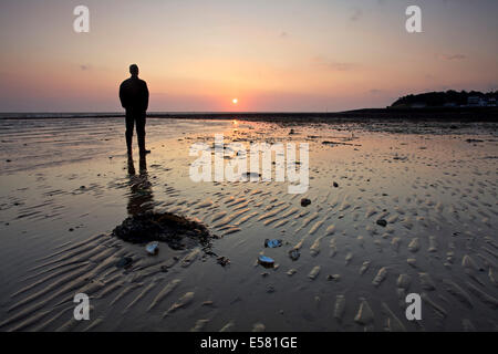 Whitstable, Kent, UK 23. Juli 2014. Morgendämmerung am Whitstable als der Sonnenaufgang leuchtet ein Walker Wellen im Sand und einige ausrangierte Austernschalen. Das Wetter wird sich voraussichtlich für die nächsten paar Tage warm und sonnig sein, aber mit möglichen Duschen für das Wochenende. Stockfoto