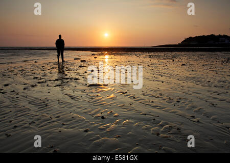 Whitstable, Kent, UK 23. Juli 2014. Morgendämmerung am Whitstable als der Sonnenaufgang leuchtet eine Gehhilfe und einige Wellen im Sand. Das Wetter wird sich voraussichtlich für die nächsten paar Tage warm und sonnig sein, aber mit möglichen Duschen für das Wochenende. Stockfoto