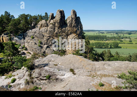 "Hamburger Wappen" Sandstein-Formationen, Bestandteil der Teufelswand, Teufelsmauer, in der Nähe von Timmenrode, Harz, Sachsen-Anhalt, Deutschland Stockfoto