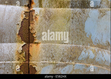 Rost, abblätternde Farbe und Flechten auf Karosserie, Kyrkö Mosse Schrottplatz, Ryd, Tingsryd, Kronoberg Grafschaft, Schweden Stockfoto