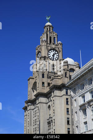 Die legendären Royal Liver Building, eines der drei Grazien, die Linie Liverpools UNESCO aufgeführt am Wasser, im NW England, UK Stockfoto