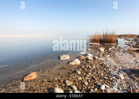 Israel, Totes Meer Salz Crystalization verursacht durch Wasserverdunstung Stockfoto