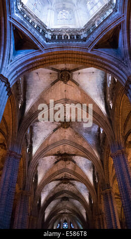Ein Blick auf die gotischen Innenraum der Kathedrale von Barcelona (Kathedrale des Heiligen Kreuzes) mit natürlichen Licht (kein Blitz, kein Stativ). Stockfoto