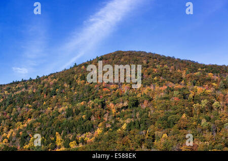 Bunte Herbst Bäume auf einem Berghang, Vermont, USA Stockfoto