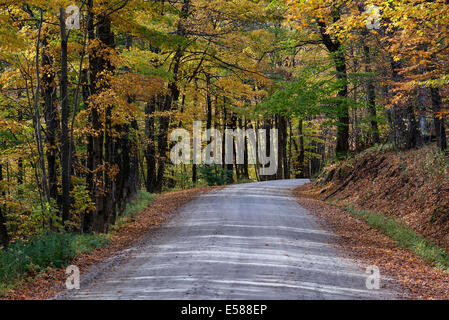 Unbefestigte Bergstraße durch farbenfrohe Herbst Bäume, Vermont, USA Stockfoto