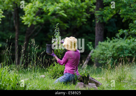 Frau kniend im Garten halten Topfpflanze Stockfoto