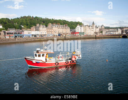 Angelboot/Fischerboot im Hafen von Oban, Argyll and Bute, Scotland Stockfoto